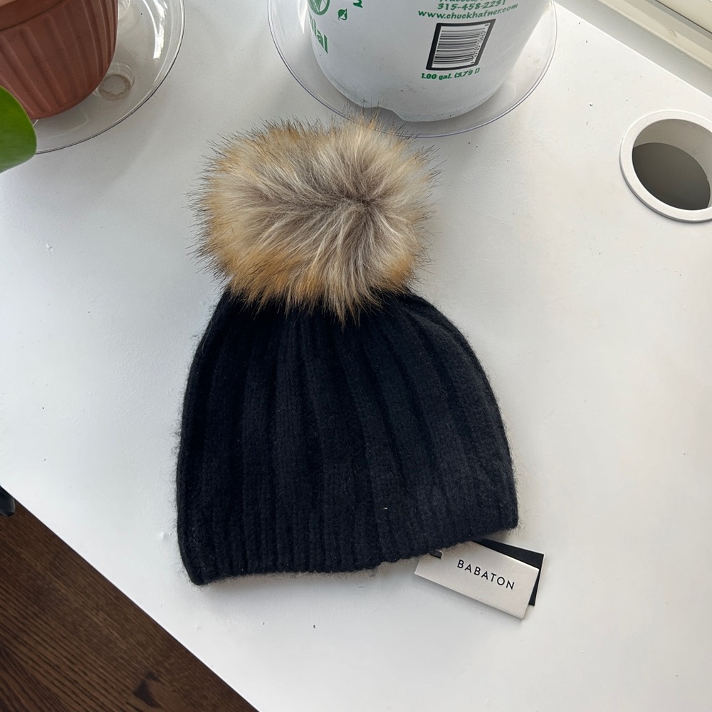 Aritzia Pom Pom beanie